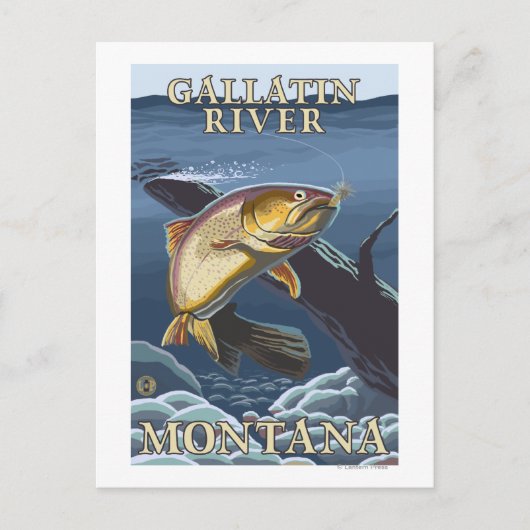 Forellenfischerei, querschnitt - Gallatin-Fluss, Postkarte (Vorderseite)