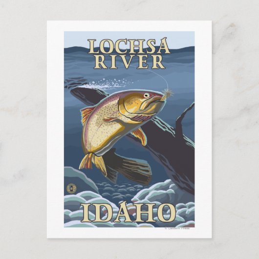 Forellenfischerei Querschnitt - Lochsa-Fluss, Postkarte (Vorderseite)