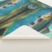 Forellenfischerei Sherpadecke (3/4)