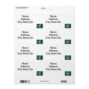 Forellenfliege Fliegenfliege auf grüner