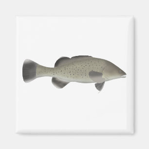 Forellenkrebs Magnet