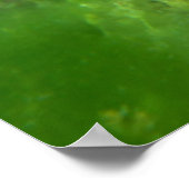 Forellenportrait, Smaragdsee, Montana Poster (Ecke)