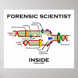 Forensic Scientist Inside (DNA-Replikation) Poster