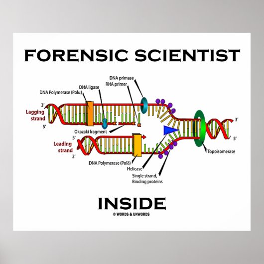 Forensic Scientist Inside (DNA-Replikation) Poster (Vorne)