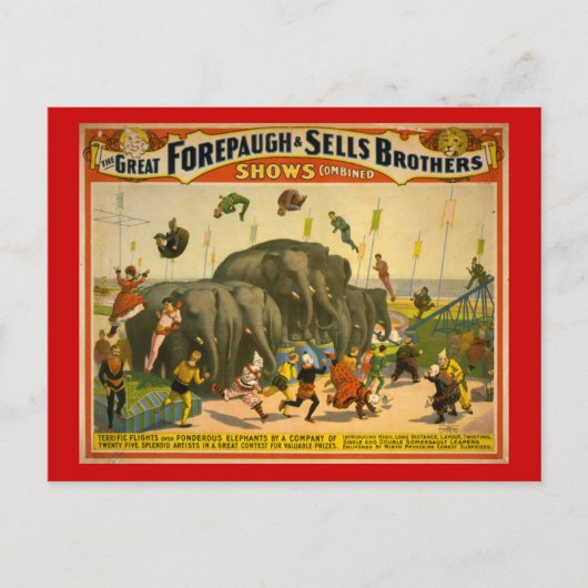 Forepaugh & Sells Brüder Elefanten Circus Poster Postkarte (Vorderseite)