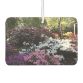 Forest Air Freshener Autolufterfrischer (Vorderseite)