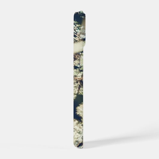 Forest and Zent Phone Case iPhone 15 Hülle (Rechte Seite)