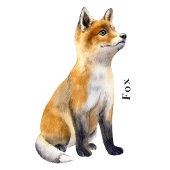 Forest Animals Educational Poster