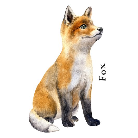 Forest Animals Educational Poster