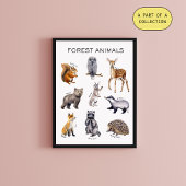 Forest Animals Educational Poster