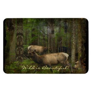 Forest Animals Wildlife Supporter Wild Art Magnet