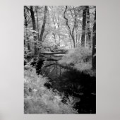 Forest Brook Infrarot Poster (Vorne)