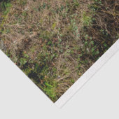 Forest Cabin 26 Dekoupage Tissue Seidenpapier (Ausschnitt)