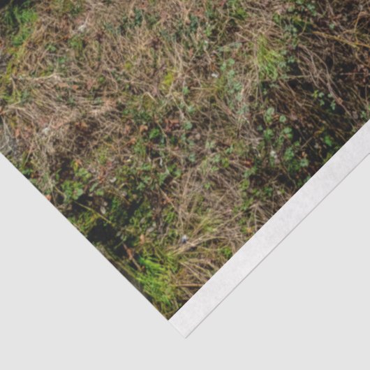 Forest Cabin 26 Dekoupage Tissue Seidenpapier (Ausschnitt)