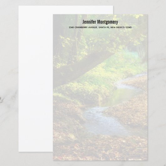 Forest Creek Schöne Landschaft Foto (Vorne/Hinten)