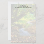 Forest Creek Schöne Landschaft Foto (Vorderseite)