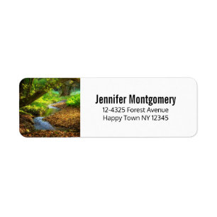 Forest Creek Schöne Landschaft Foto