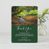 Forest Creek Schöne Landschaft Foto Dankeskarte (Stehend Vorderseite)