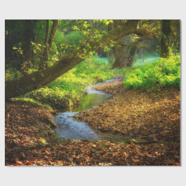 Forest Creek Schöne Landschaft Foto Geschenkpapier