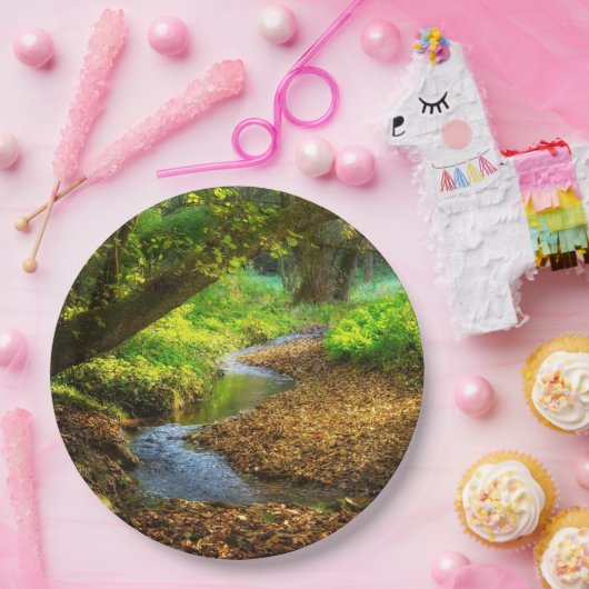 Forest Creek Schöne Landschaft Foto Pappteller (Party)