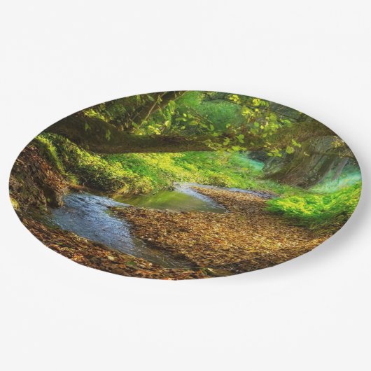 Forest Creek Schöne Landschaft Foto Pappteller (Schrägansicht)