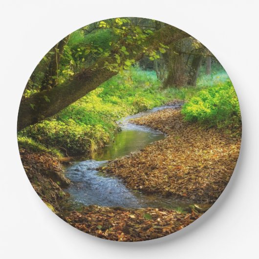 Forest Creek Schöne Landschaft Foto Pappteller (Vorderseite)