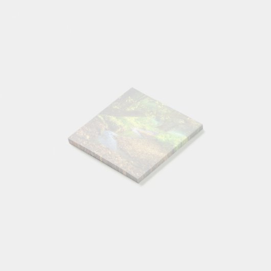 Forest Creek Schöne Landschaft Foto Post-it Klebezettel (angewinkelt)