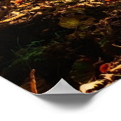 Forest Creek Schöne Landschaft Foto Poster (Ecke)