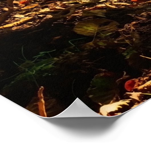 Forest Creek Schöne Landschaft Foto Poster (Ecke)