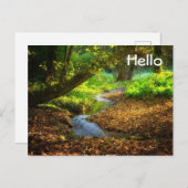 Forest Creek Schöne Landschaft Foto Postkarte (Vorne/Hinten)