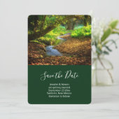 Forest Creek Schöne Landschaft Foto Save The Date (Stehend Vorderseite)