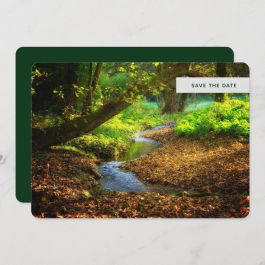 Forest Creek Schöne Landschaft Foto Save The Date (Vorne/Hinten)