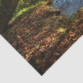 Forest Creek Schöne Landschaft Foto Seidenpapier (Detail)