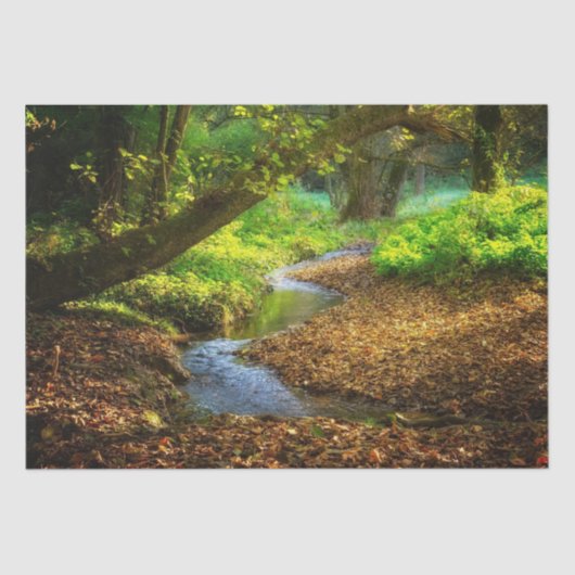 Forest Creek Schöne Landschaft Foto Seidenpapier (Vorderseite)
