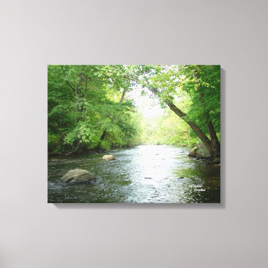 Forest creek Stretched Canvas Print Leinwanddruck (Vorderseite)