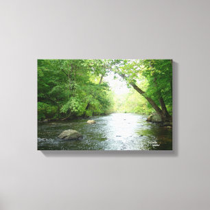 Forest creek Stretched Canvas Print Leinwanddruck