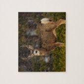 Forest Deer Buck Puzzle (Vertikal)