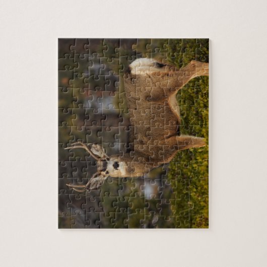 Forest Deer Buck Puzzle (Vertikal)