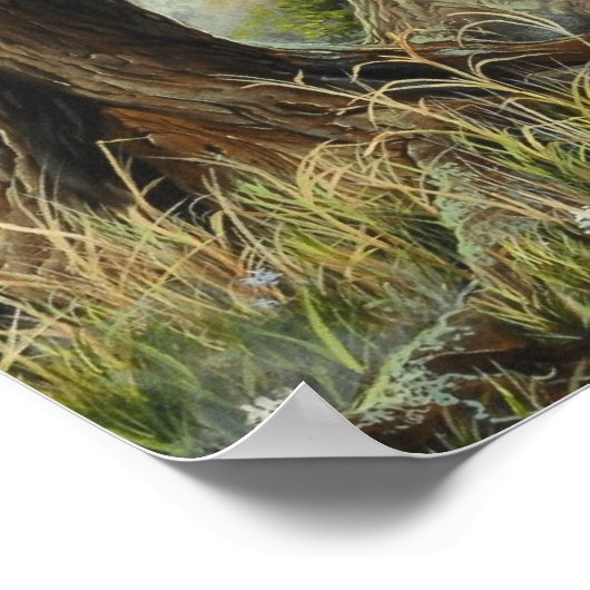 Forest Dragon -  by Marc-André Huot Poster (Ecke)