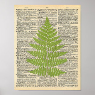 Forest Fern Vintages Wörterbuch Poster