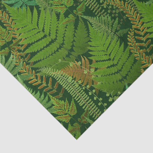 Forest Ferns Seidenpapier (Ausschnitt)