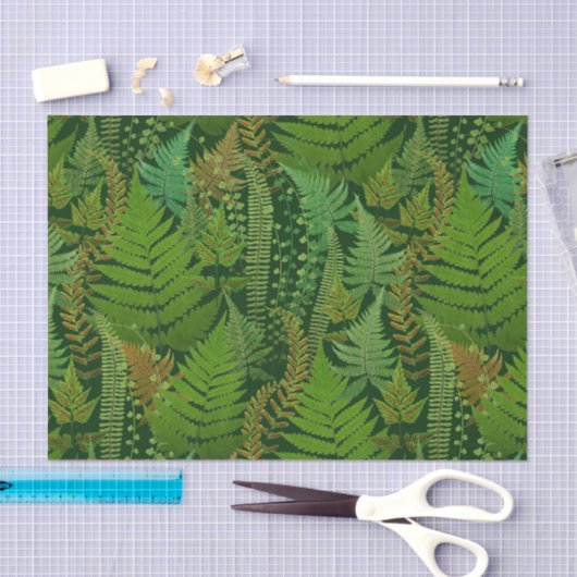 Forest Ferns Seidenpapier (Handwerk)