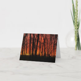 Forest Fire Sky - personalisieren! Karte