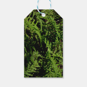 Forest Floor Ferns Geschenkanhänger