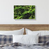 Forest Floor Ferns Leinwanddruck (Insitu (Schlafzimmer))