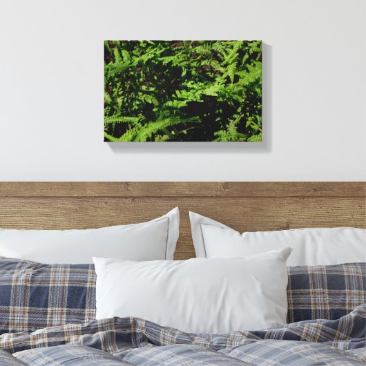 Forest Floor Ferns Leinwanddruck (Insitu (Schlafzimmer))