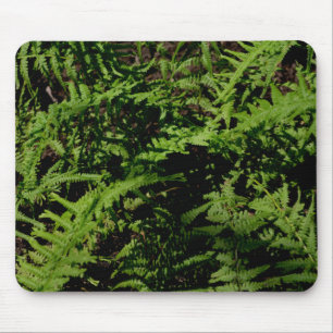 Forest Floor Ferns Mousepad