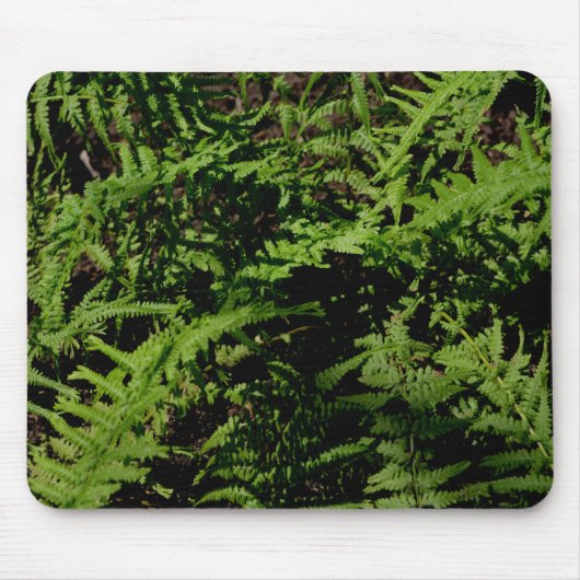 Forest Floor Ferns Mousepad (Vorne)