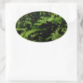 Forest Floor Ferns Ovaler Aufkleber (Tasche)