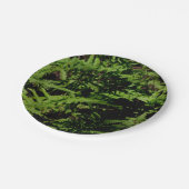 Forest Floor Ferns Pappteller (Schrägansicht)